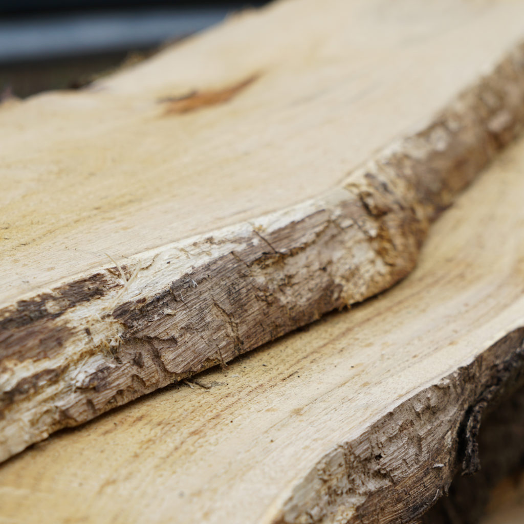 legno di faggio